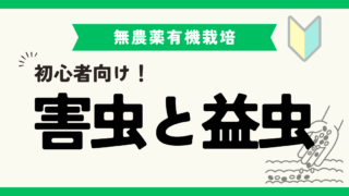 野菜栽培で取り除いてはいけない虫もいる！？害虫と益虫を紹介！ 